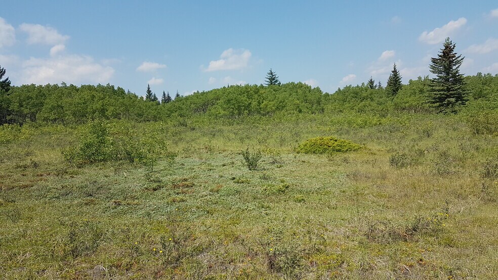 More Photos Of 1 Bow River, Rocky View No 44 Land For Sale