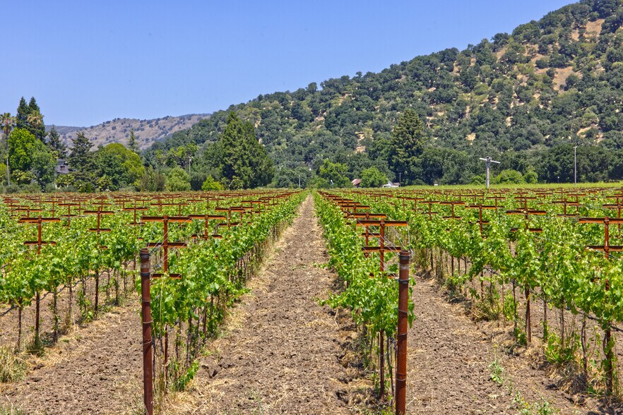 More Photos Of 6160 St Helena hwy, Napa Land For Sale