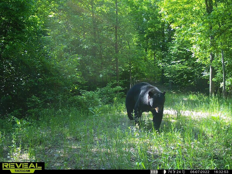 More Photos Of Fisher Road, Iola Land For Sale