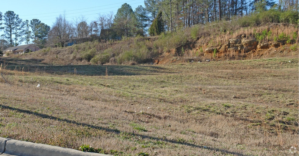 More Photos Of 825 Odum Circle, Gardendale Land For Sale
