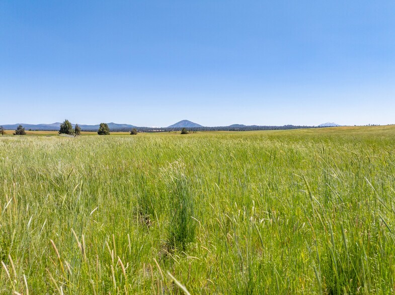 More Photos Of 540-775 Pittville Rd, Mcarthur Land For Sale