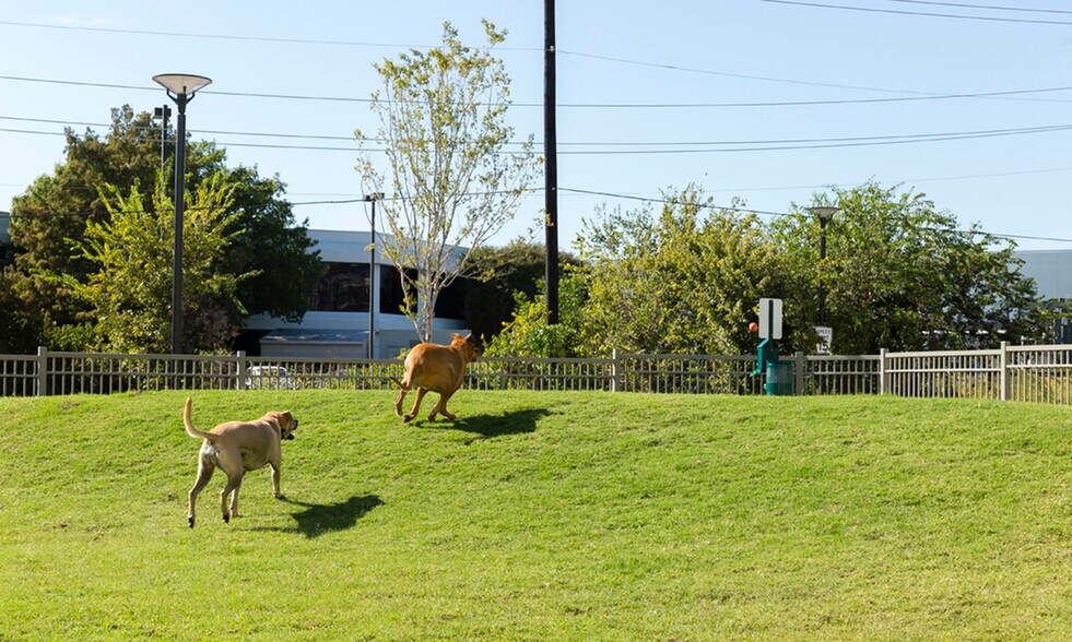 More Photos Of 3000 Northside Blvd, Richardson Multifamily For Sale