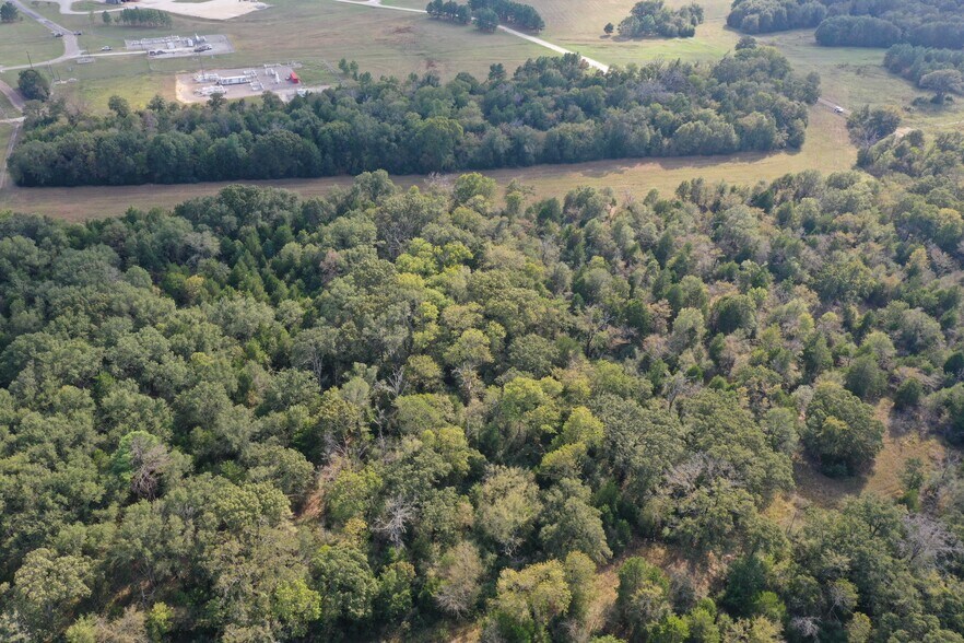More Photos Of Country Rd 2608, Tennessee Colony Land For Sale