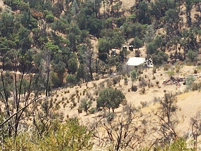 More Photos Of 13200 Del Puerto Canyon Rd, Livermore Land For Sale