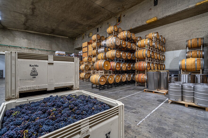 More Photos Of 250 Karma Kanyon Dr, Chelan Winery Vineyard For Sale