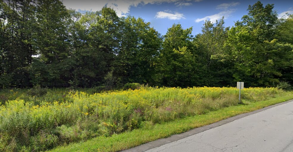 More Photos Of 193 Van Dyke Rd, Delmar Land For Sale