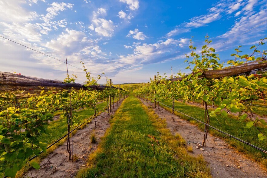 More Photos Of 1179 East Pearl St, Kasota Restaurant For Sale