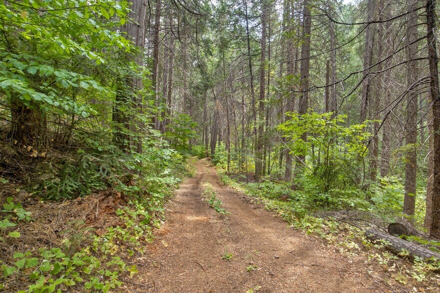 More Photos Of Mountain Dew Lane, Somerset Land For Sale