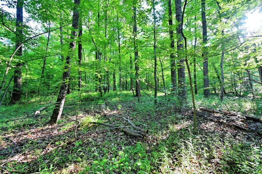 More Photos Of Richard Allen St, Aquasco Land For Sale