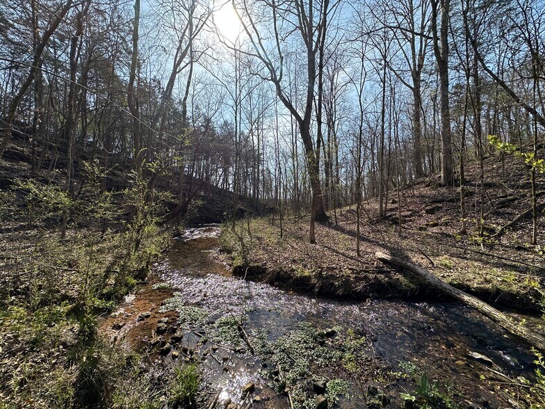 More Photos Of 7312 Highway 60, Georgetown Land For Sale