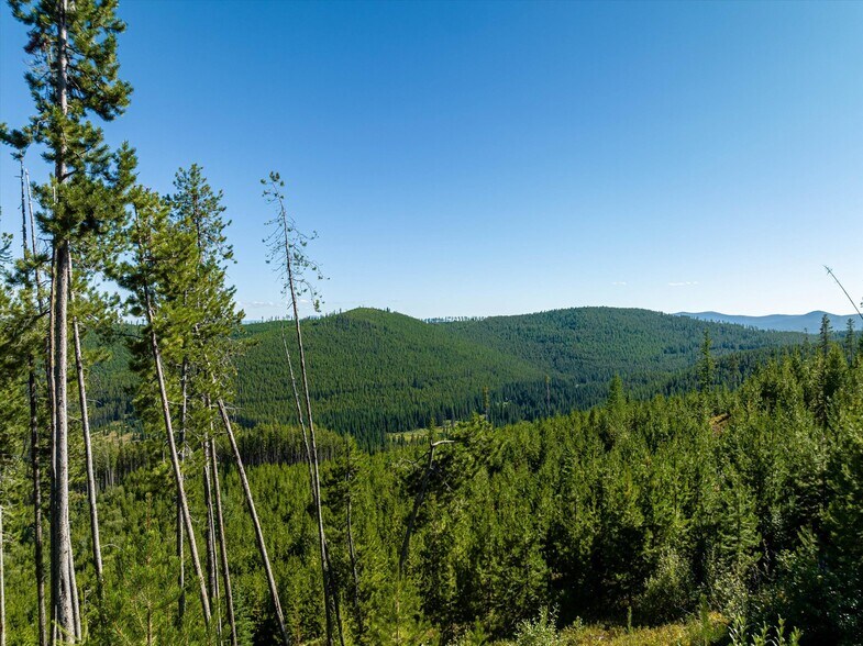 More Photos Of Nhn Logan Creek Road, Kila Land For Sale