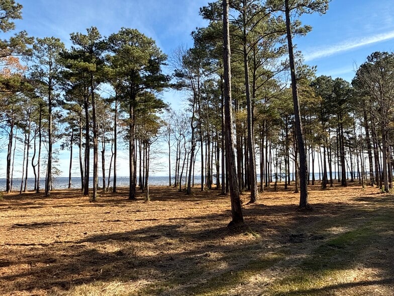 More Photos Of 0 Norfleet Shores Road, Belhaven Land For Sale