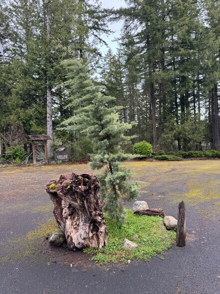 More Photos Of 295534 US Highway 101, Quilcene Flex For Sale