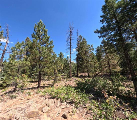 More Photos Of 48 Ponderosa Trl, Durango Land For Sale