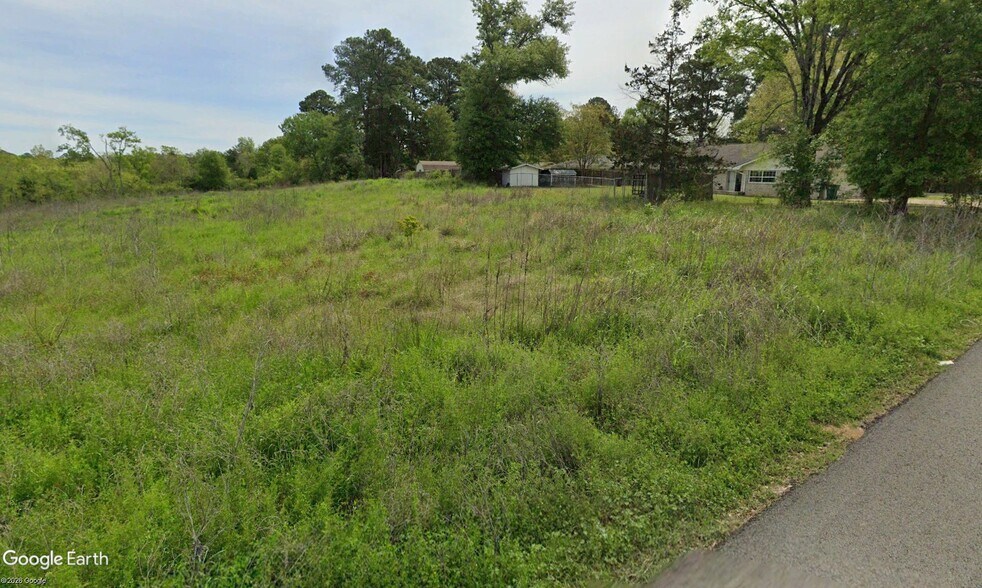 More Photos Of 2800 S Loop 256, Palestine Land For Sale