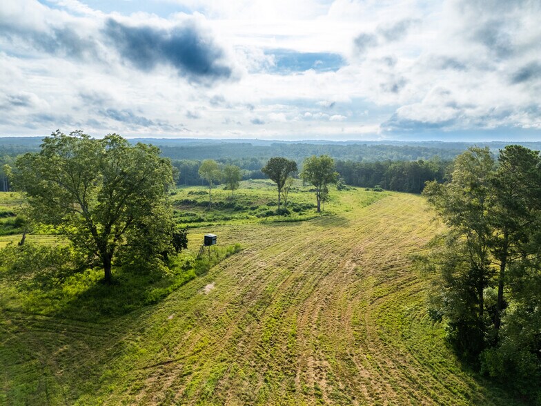 More Photos Of 2199 Roosterville Rd, Roopville Horse Stables For Sale