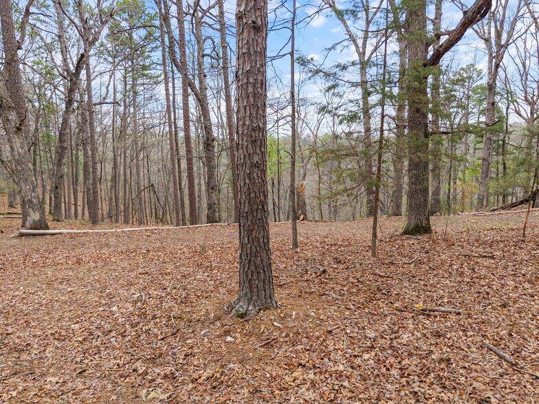 More Photos Of 0 Jordan Drive, Eureka Springs Land For Sale