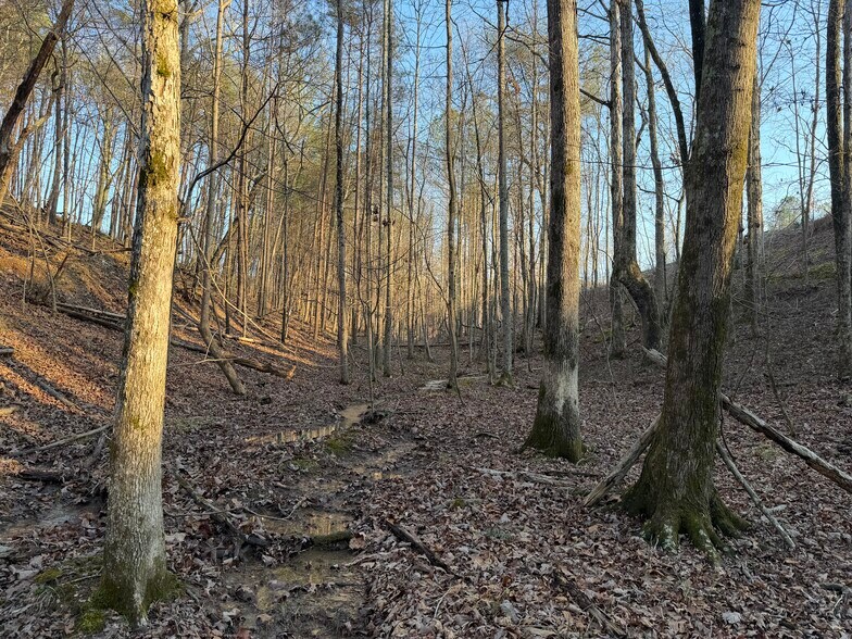 More Photos Of 260 Arnold Rd NE, Fairmount Land For Sale