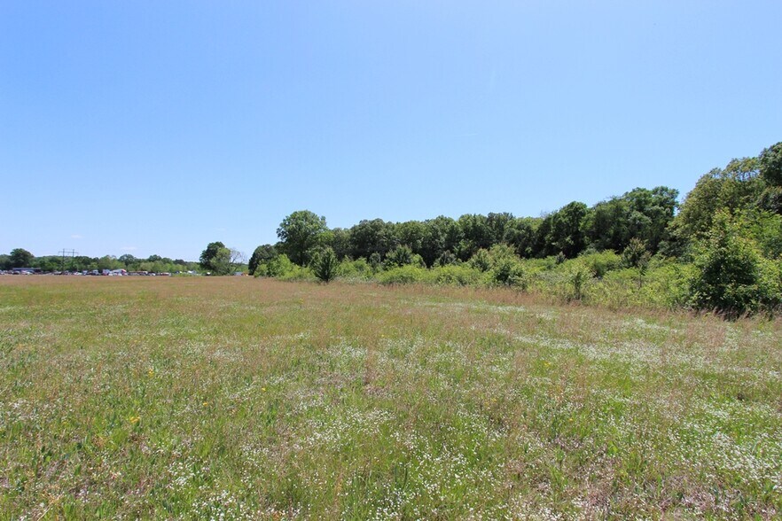 More Photos Of 278 Highway 64 E, Conway Land For Sale