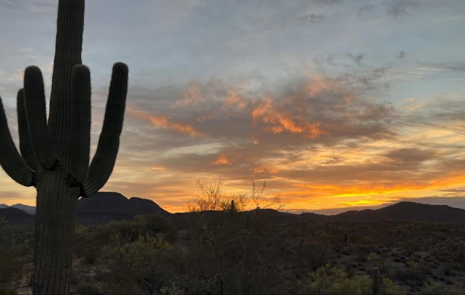 Primary Photo Of Blue Tank Rd, Wickenburg Specialty For Sale