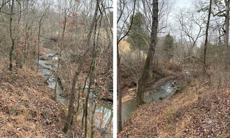 More Photos Of Martin Road, Williamston Land For Sale