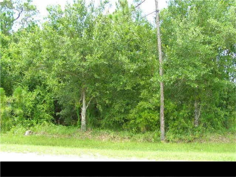 Primary Photo Of 6 Cypress St, Fellsmere Land For Sale