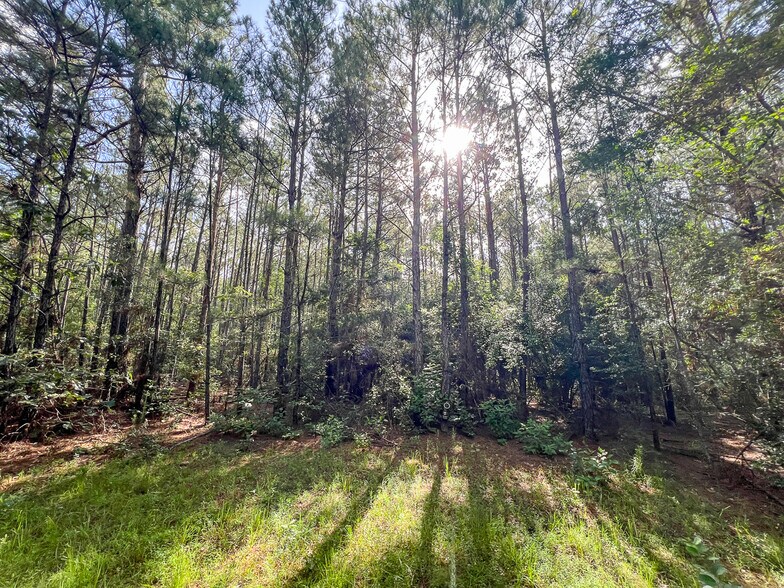 More Photos Of 00 FM 2793, New Waverly Land For Sale
