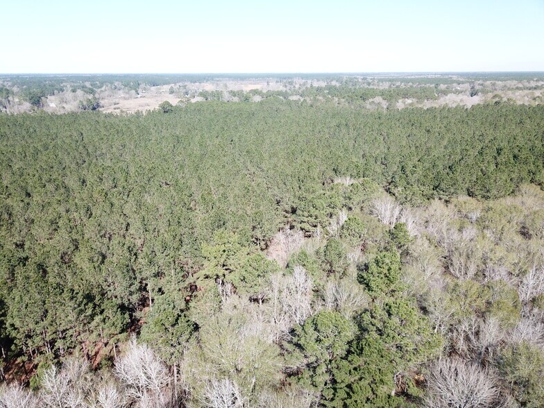 More Photos Of Corrigan Road, Vidor Land For Sale