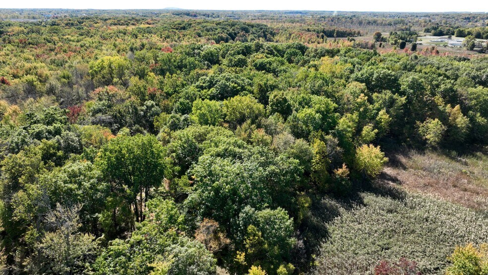 More Photos Of 306 Eubank St, Novi Land For Sale