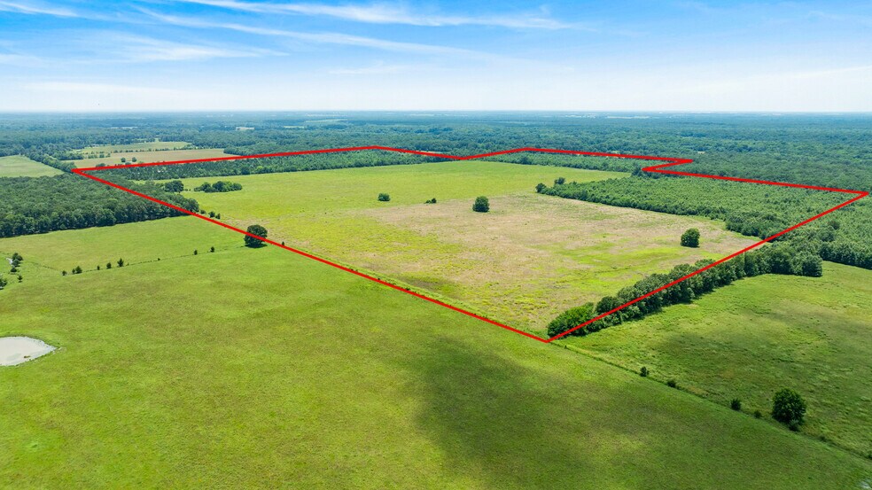 More Photos Of 449 County Road 1357, Clarksville Land For Sale