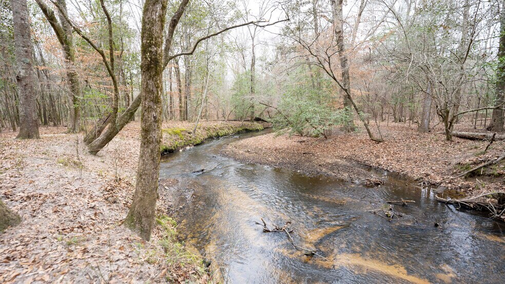 More Photos Of 500 Old Milledgeville Rd, Cochran Land For Sale