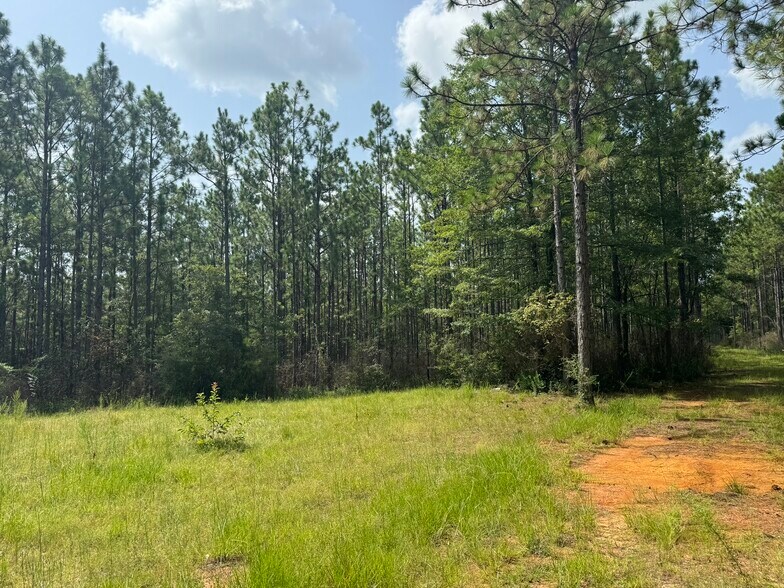 More Photos Of 0 Nokomis Road, Walnut Hill Land For Sale