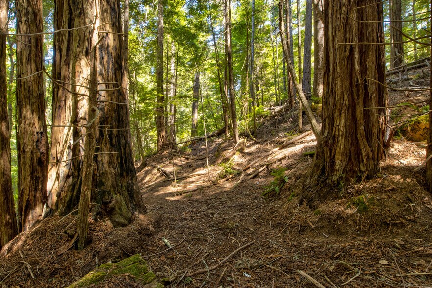 More Photos Of 33170 Frog Pond rd, Little River Land For Sale