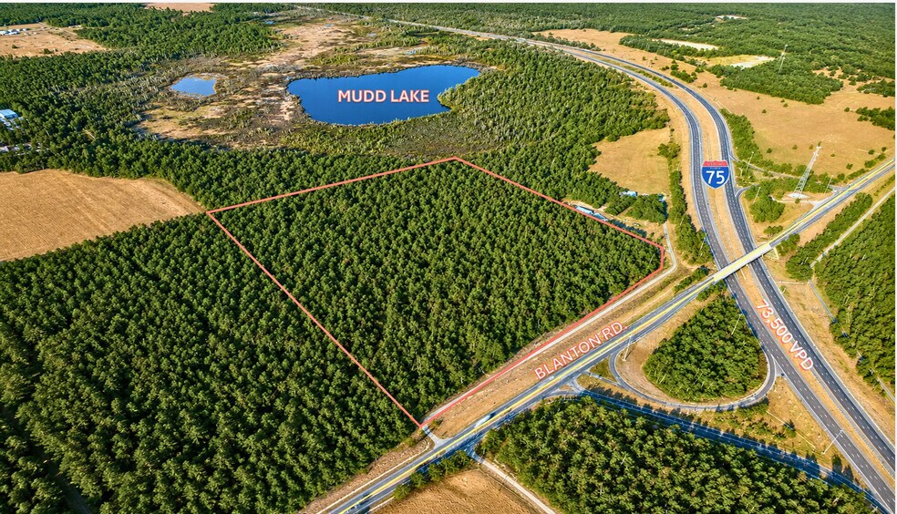 Primary Photo Of 31529 Blanton Rd, Dade City Land For Sale