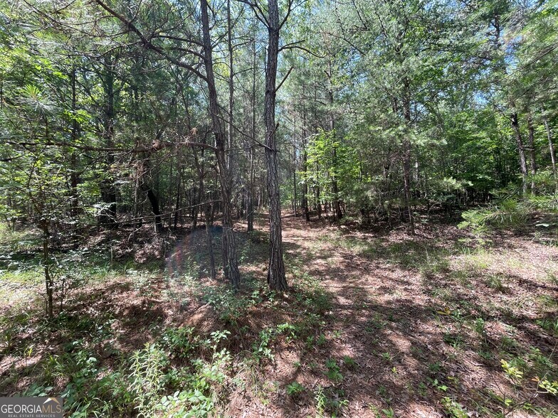 More Photos Of 0 Fallen Branch Circle Southeast, Rome Land For Sale