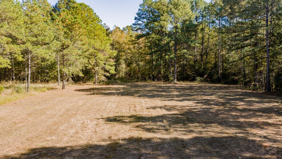 More Photos Of 12806 Wood Rd, Diana Land For Sale