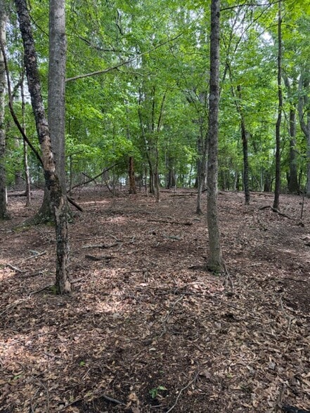 More Photos Of 357 Linwood dr, Gainesville Land For Sale