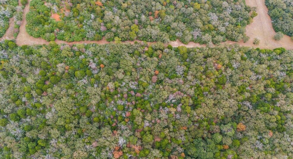 More Photos Of TBD County #415 rd, Lexington Land For Sale