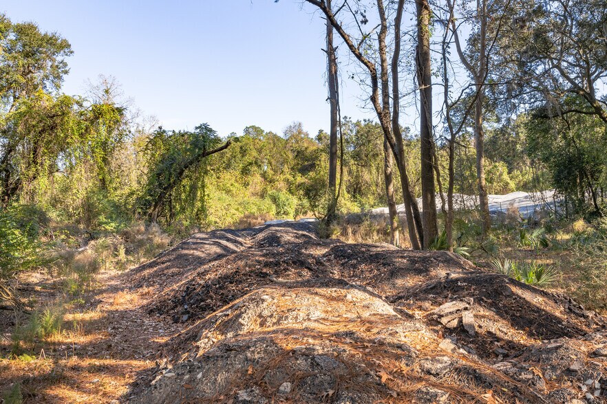 More Photos Of , Savannah Land For Sale