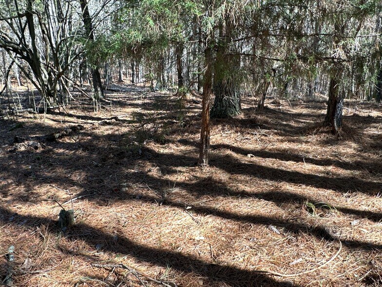 More Photos Of 3472 Prior Station Rd, Cedartown Land For Sale