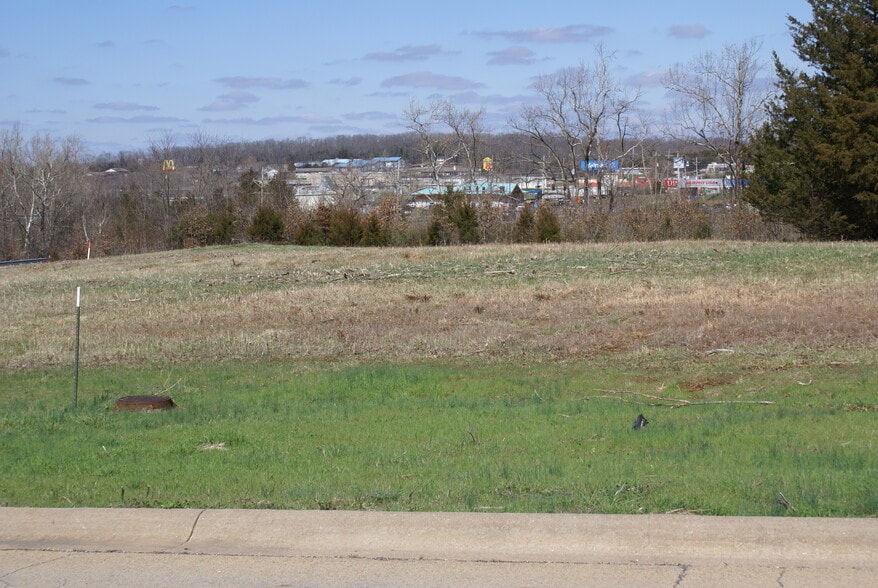 More Photos Of 275 State Hwy 21, Potosi Land For Sale