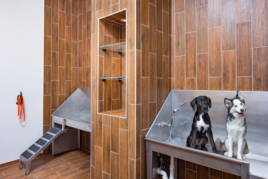 More Photos Of 2803 Poag St, Alexandria Apartments For Lease