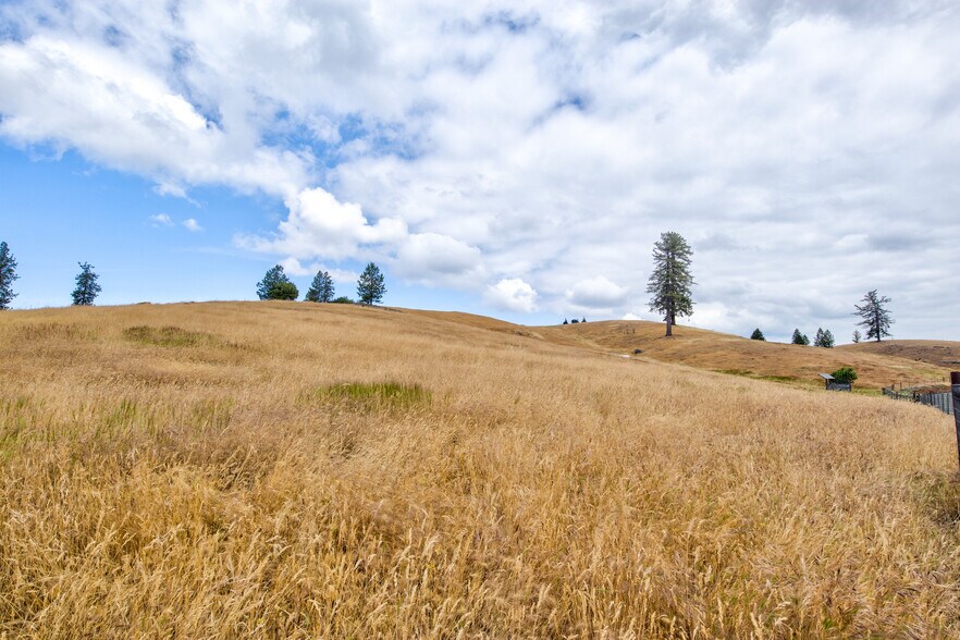 More Photos Of 7279 Mountain Ranch, Mountain Ranch Land For Sale