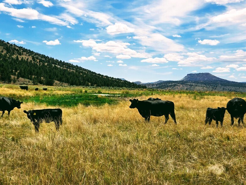 More Photos Of 32611 Tackman Rd, Prineville Land For Sale