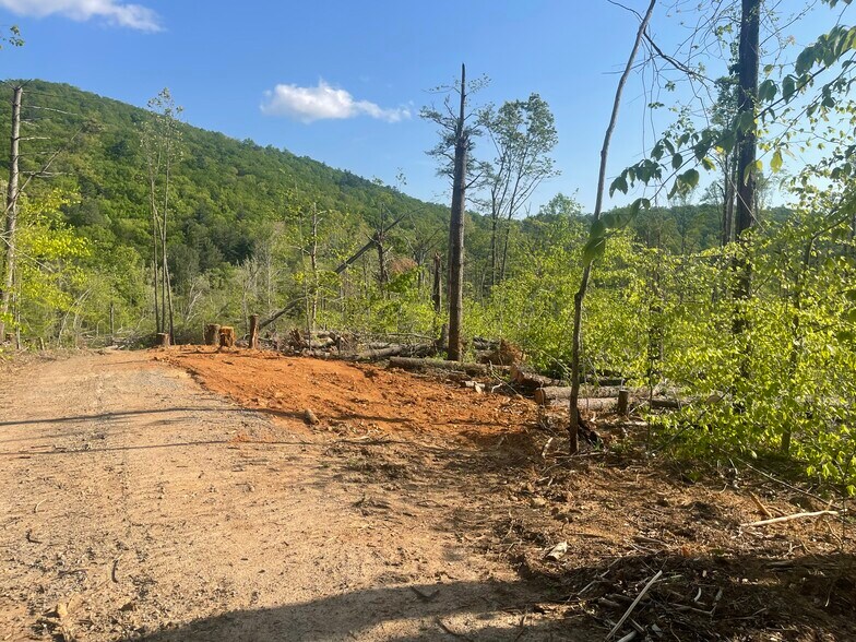 More Photos Of 9999 Shope Creek Rd, Asheville Land For Sale