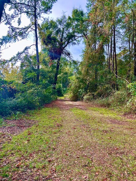 More Photos Of 16260 NW US Highway 441, Alachua Auto Repair For Sale