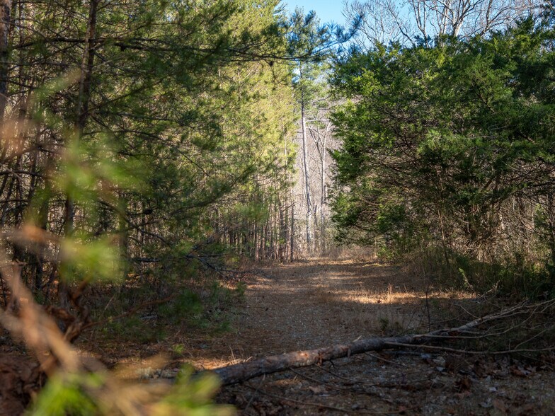 More Photos Of 00 Pittman Rd, Landrum Land For Sale