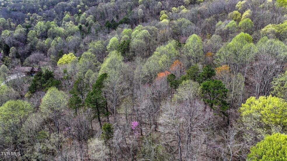 More Photos Of 340 Melinda Ferry rd, Rogersville Land For Sale