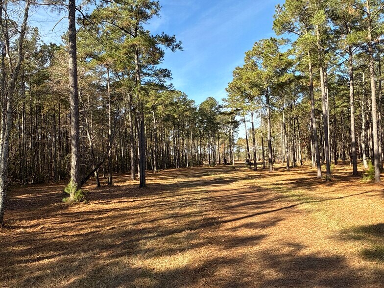 More Photos Of 0 Norfleet Shores Road, Belhaven Land For Sale