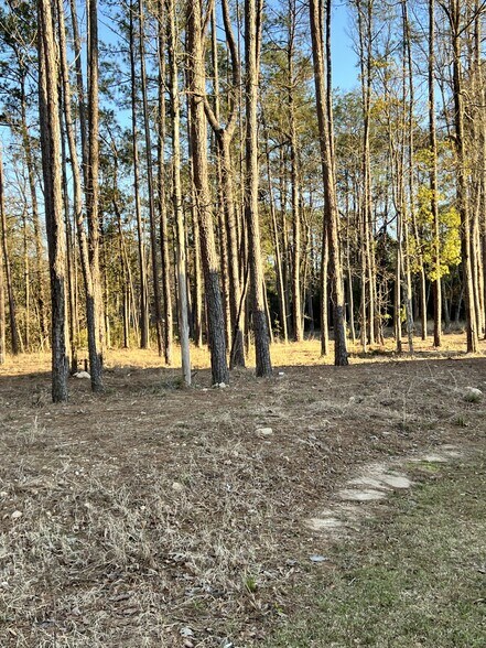 More Photos Of 71212 Highway 21, Covington Land For Lease